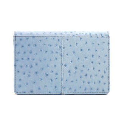 Isabella Elite Evening Clutch-cum-Sling Convertible Bag Back Mist Blue